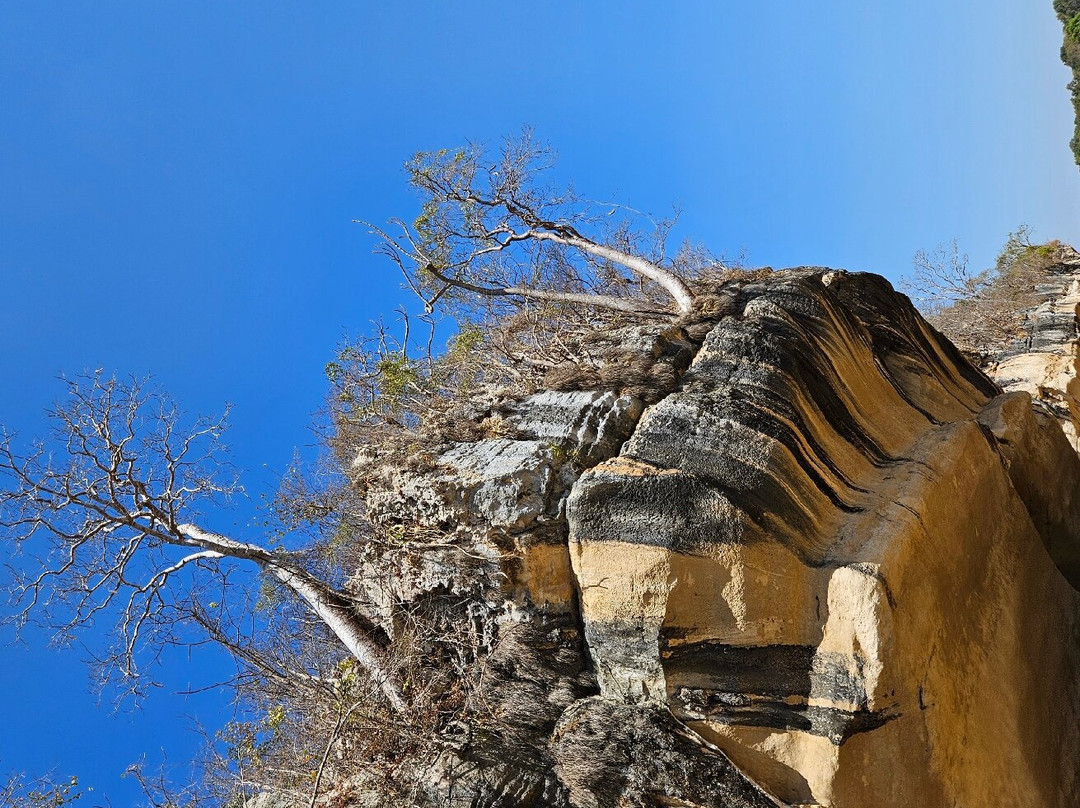 Manambolo River-Tsingy de Bemaraha National Park必去景点