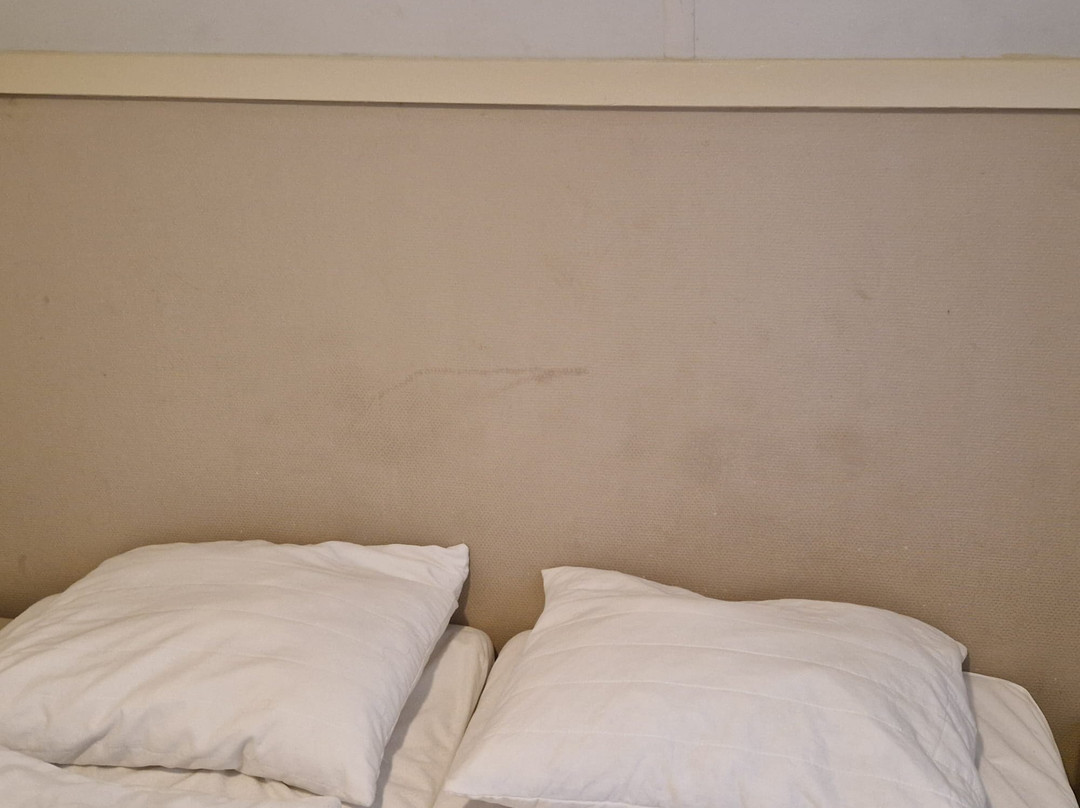 Summio Vakantiepark Emslandermeer主图