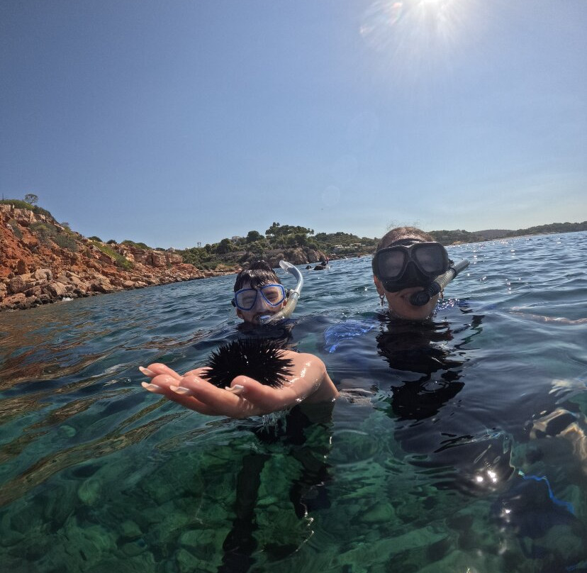 Nautilus Dive Center-Ilioupoli必去景点