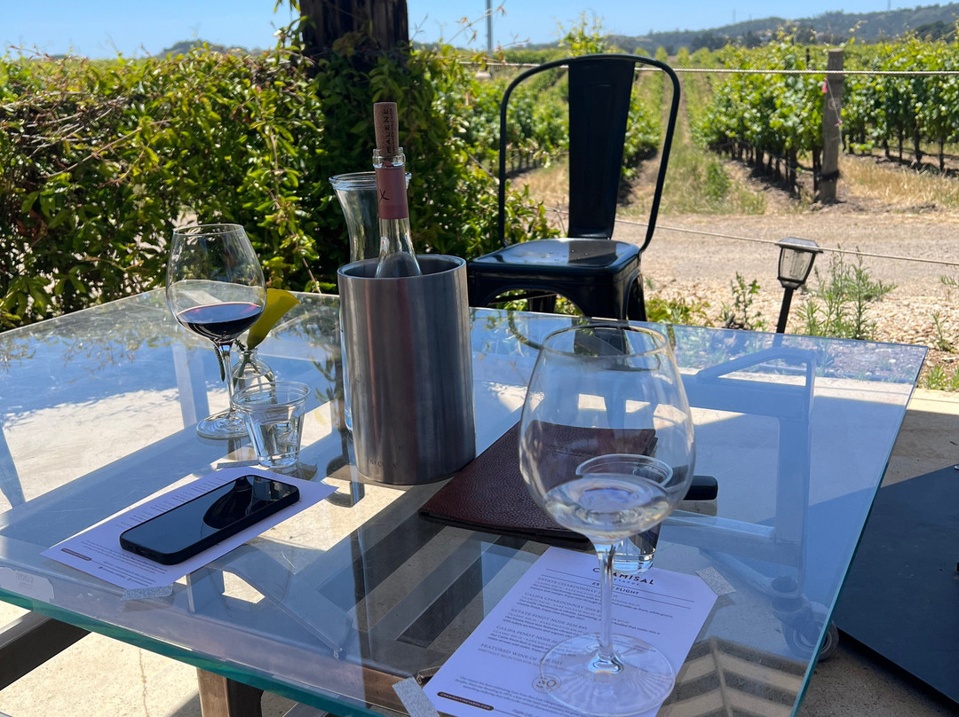 Chamisal Vineyards-圣路易斯-奥比斯波必去景点