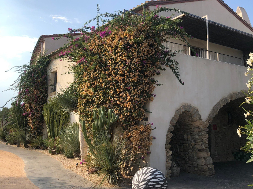 Hotel Mas Lazuli主图