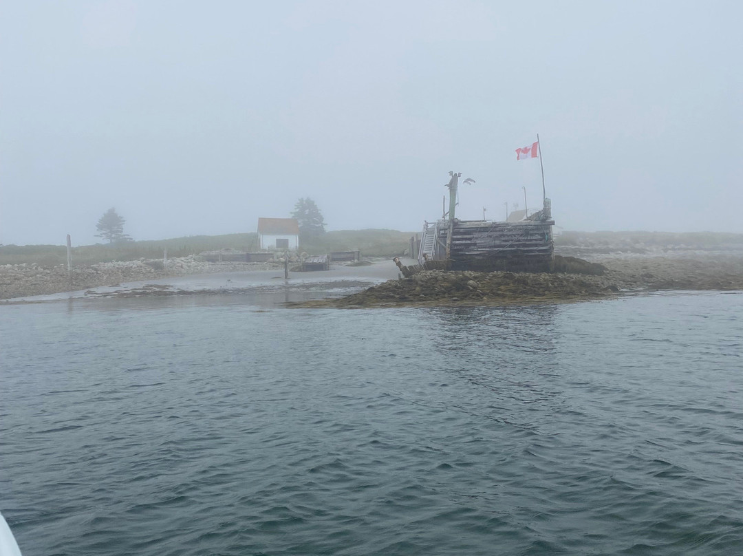 Tusket Island Tours-Wedgeport必去景点