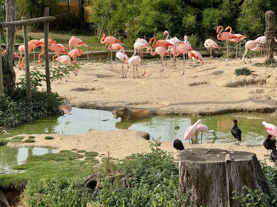 Parrot World-Crecy-la-Chapelle必去景点