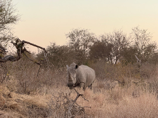 Frame The Wild Pty Ltd-Stellenbosch Farms必去景点
