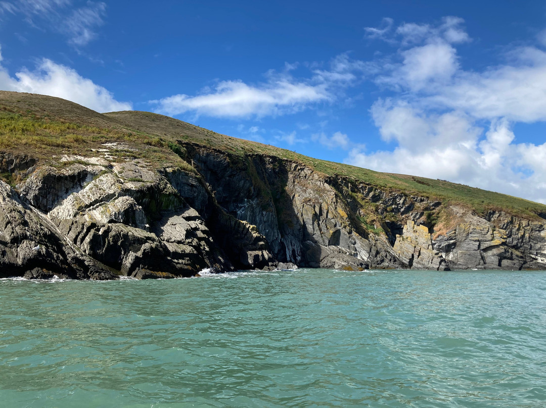 A Bay To Remember Wildlife Boat Trips-St. Dogmaels必去景点