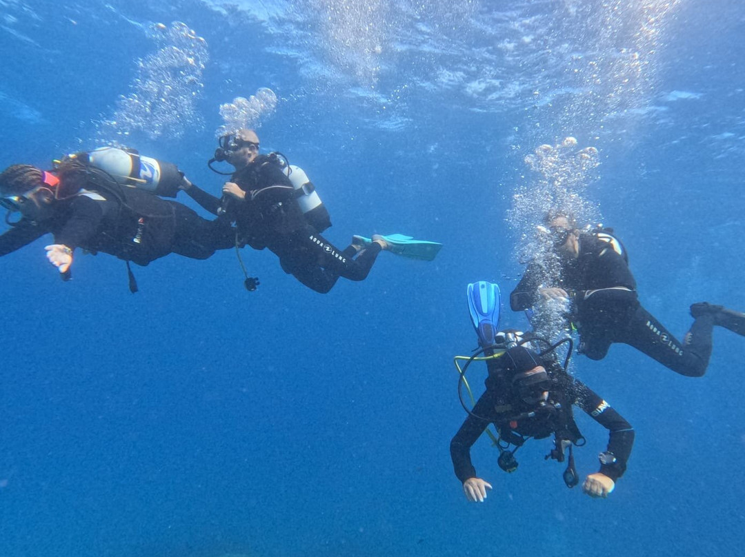 Abyssos Diving School & Snorkeling-Capo Comino必去景点