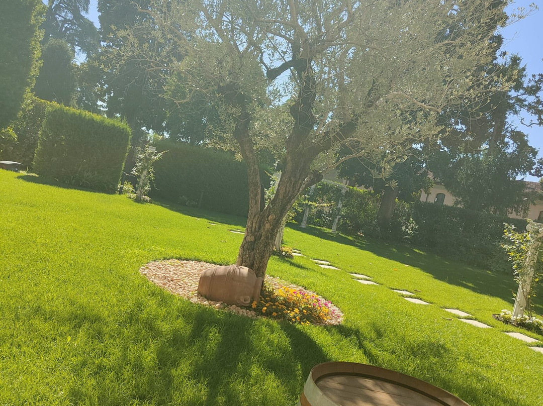 Hotel Il Gelso主图