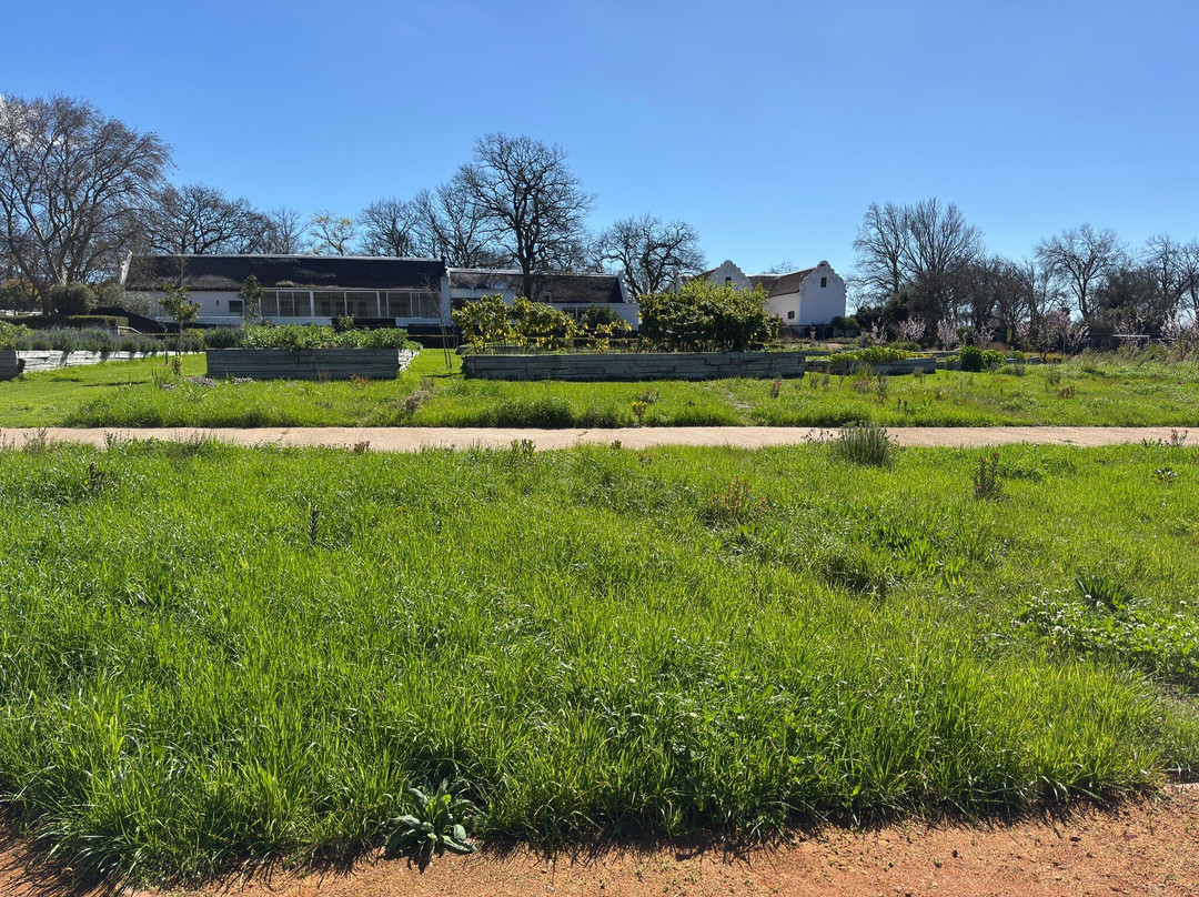 Boschendal-格鲁特•达肯斯恩山脉必去景点