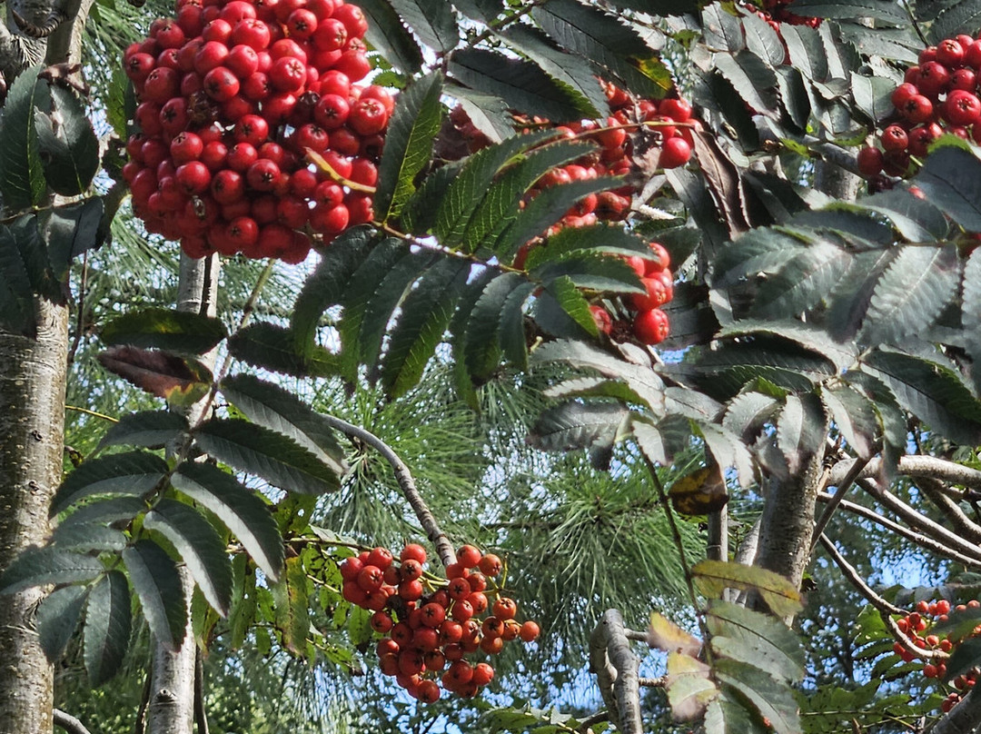 Oliwa Zoo-格但斯克必去景点