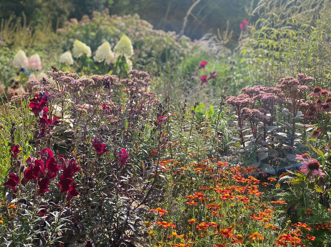 Gavno Slot-奈司特维德必去景点