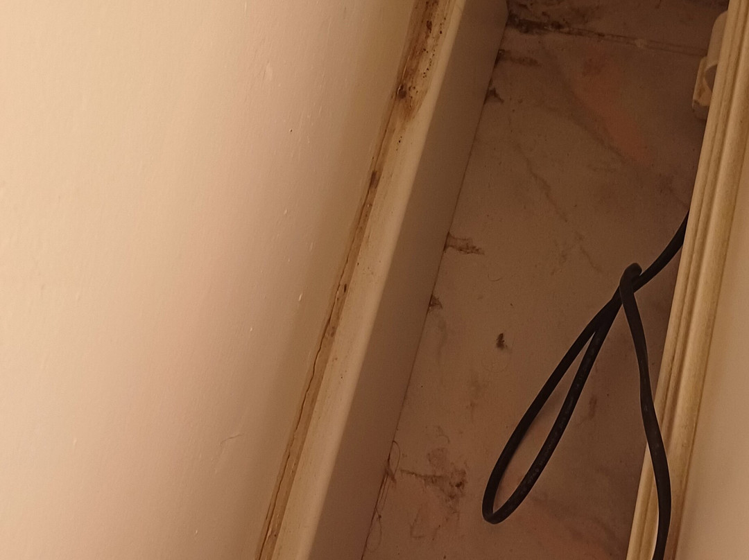 Royal Asarlik Beach主图