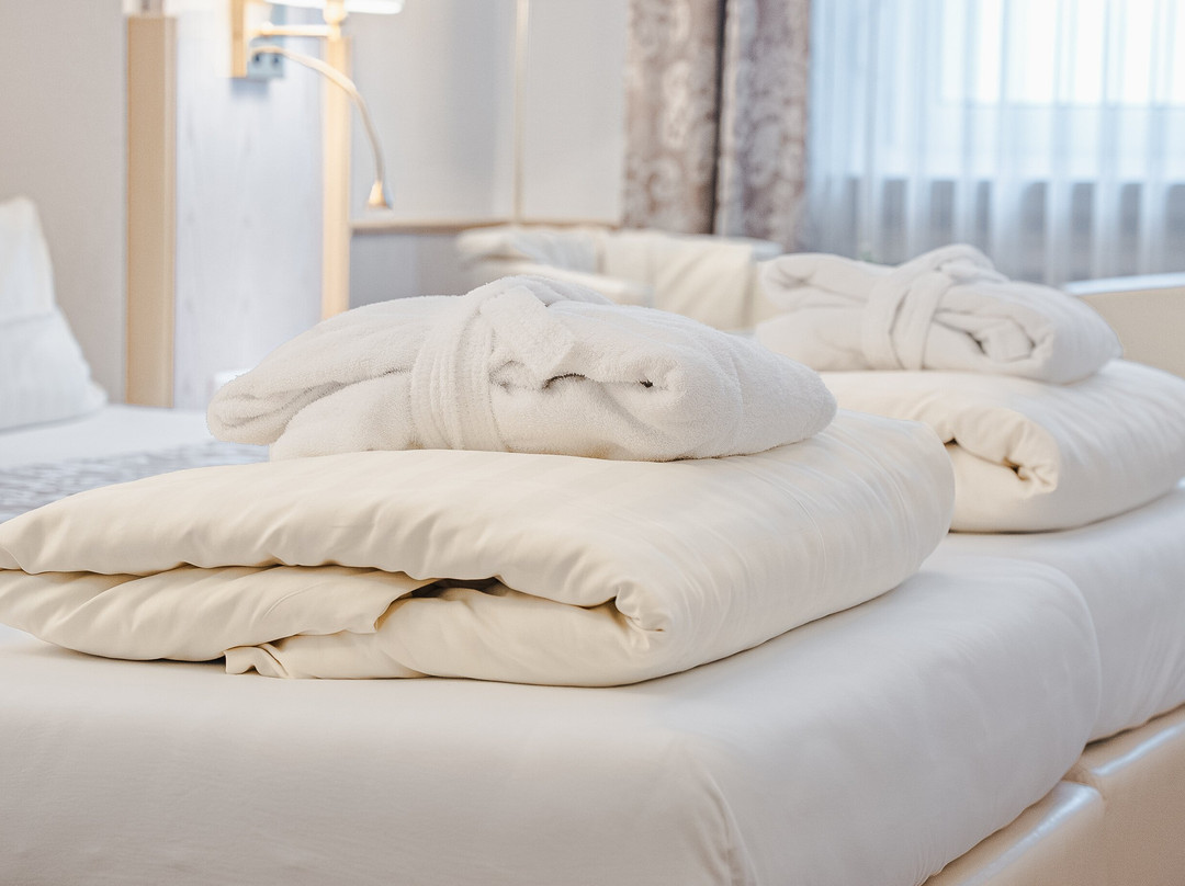 Parkhotel Sletz主图