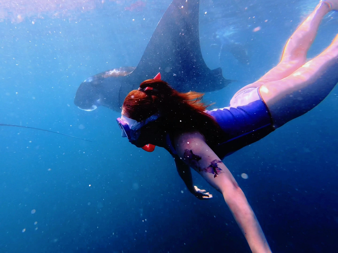 Dive Butler Amilla-芭环礁必去景点