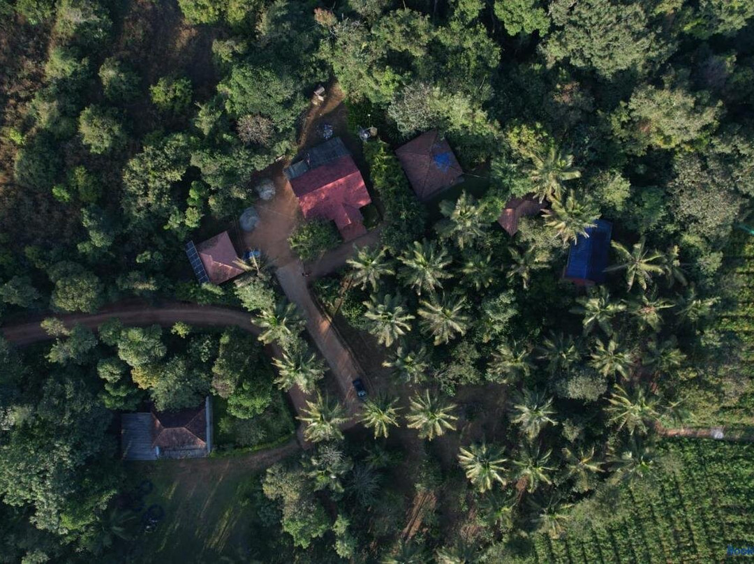 Cheekanahalli酒店住宿-Hasiru Homestay