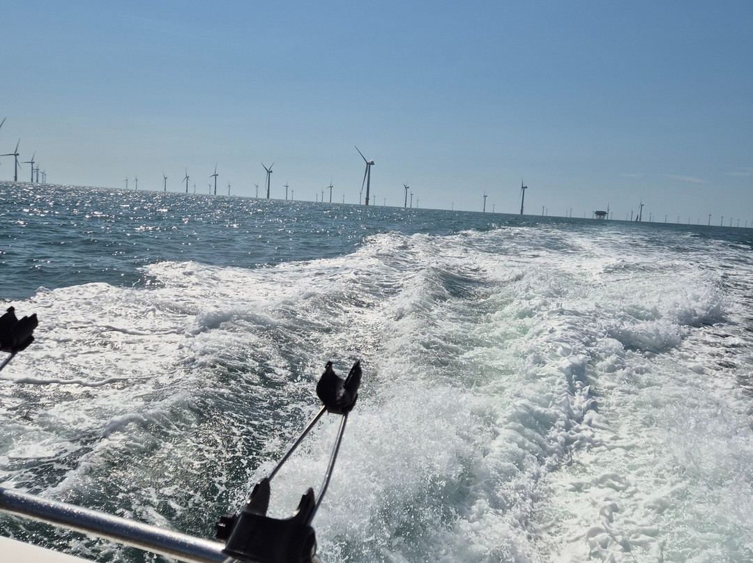 Brighton Diver-布莱顿必去景点