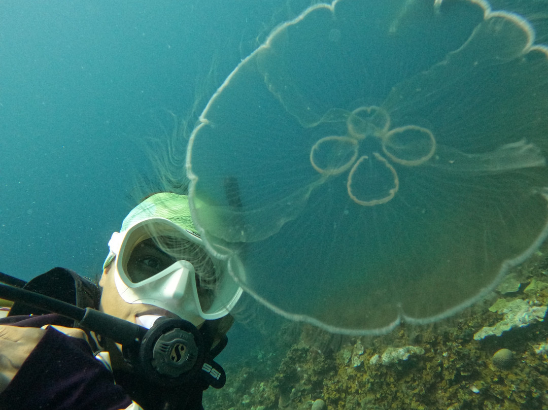 Covenas Diving Co.-Covenas必去景点