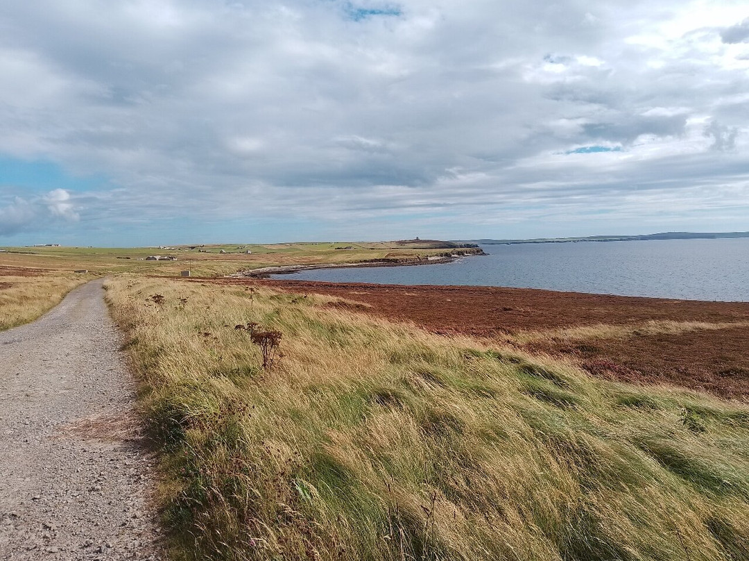 Wild Orkney Walks-Stromness必去景点