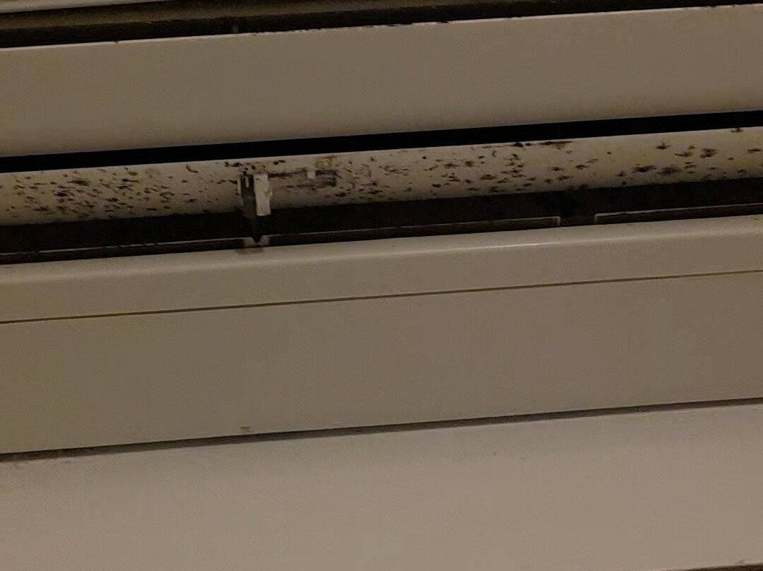 Les Hauts Du Cap主图