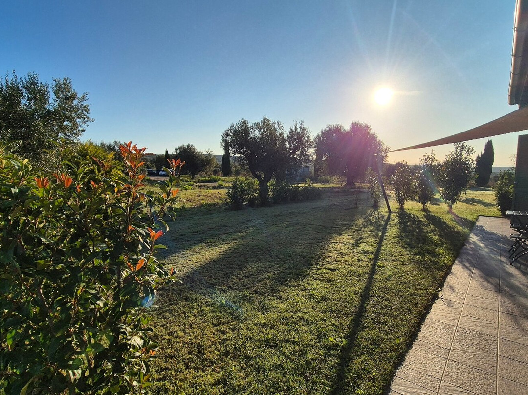 Il Poggio di Musignano