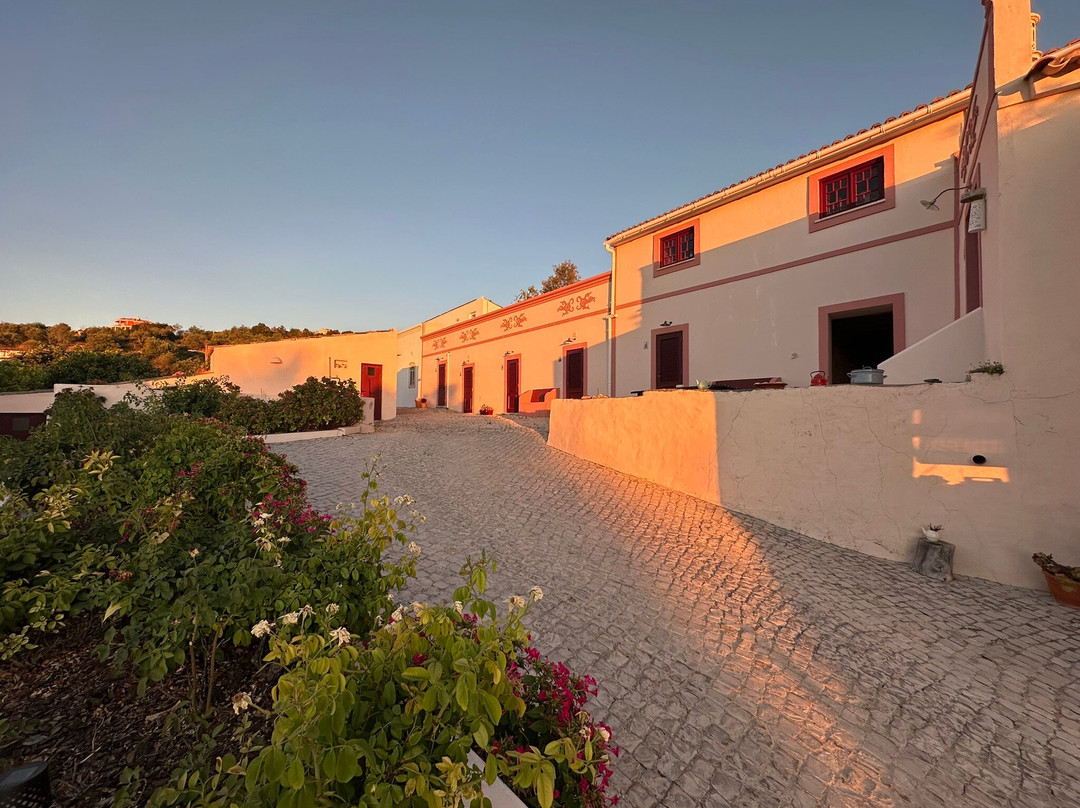 B&B Candelária主图