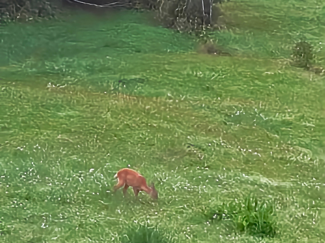 Landgasthof Kreithof主图