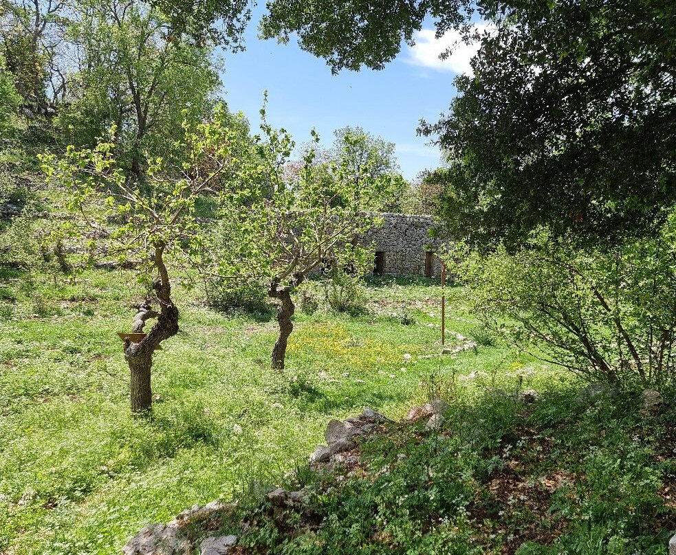 Jabal Moussa Biosphere Reserve-Keserwan District必去景点
