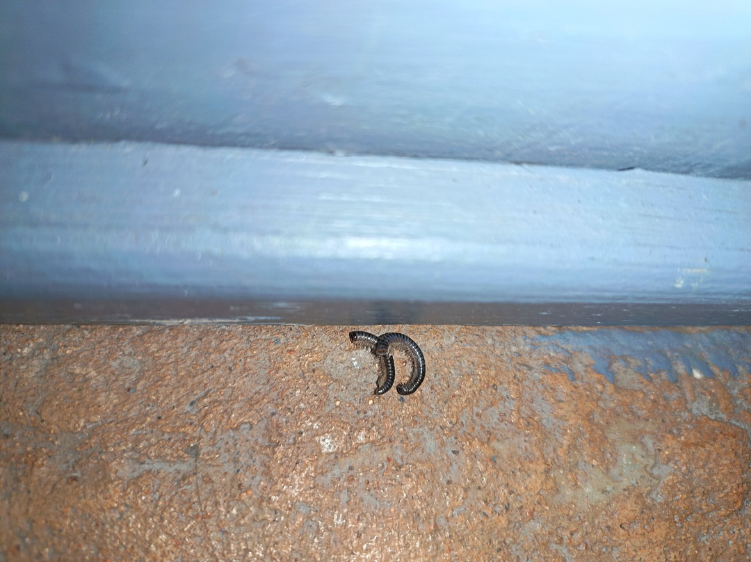 栎树玛索鲁姆酒店主图