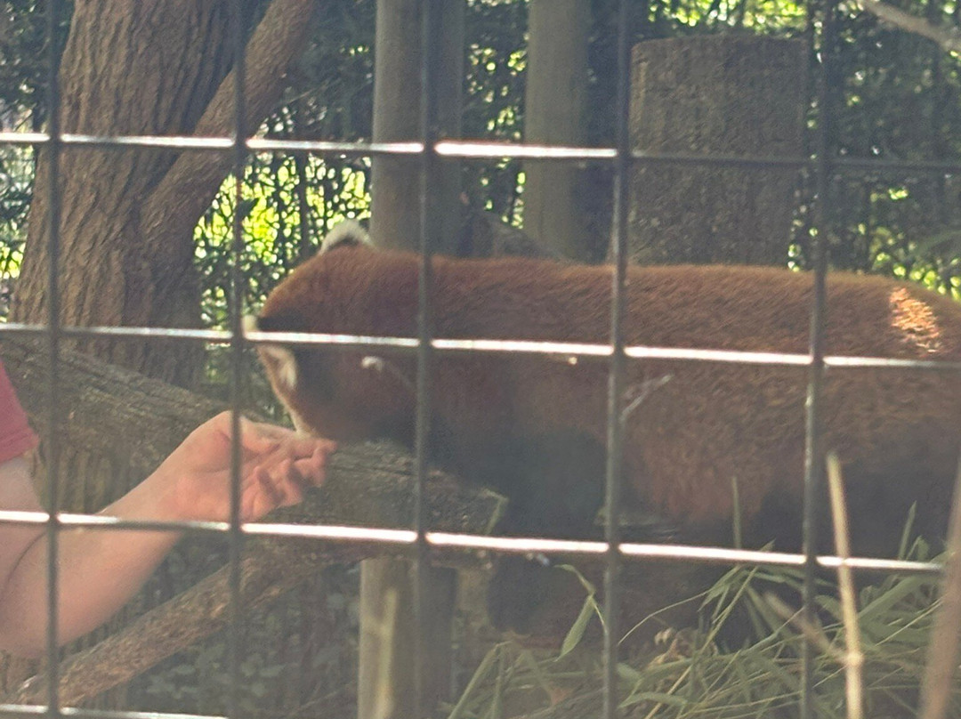 水星大酒店主图