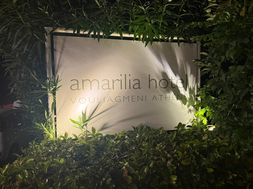 艾默瑞莉雅酒店主图