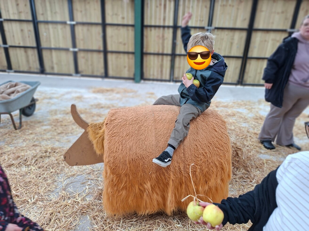 Cockfields Farm Park-Ashton-under-Lyne必去景点