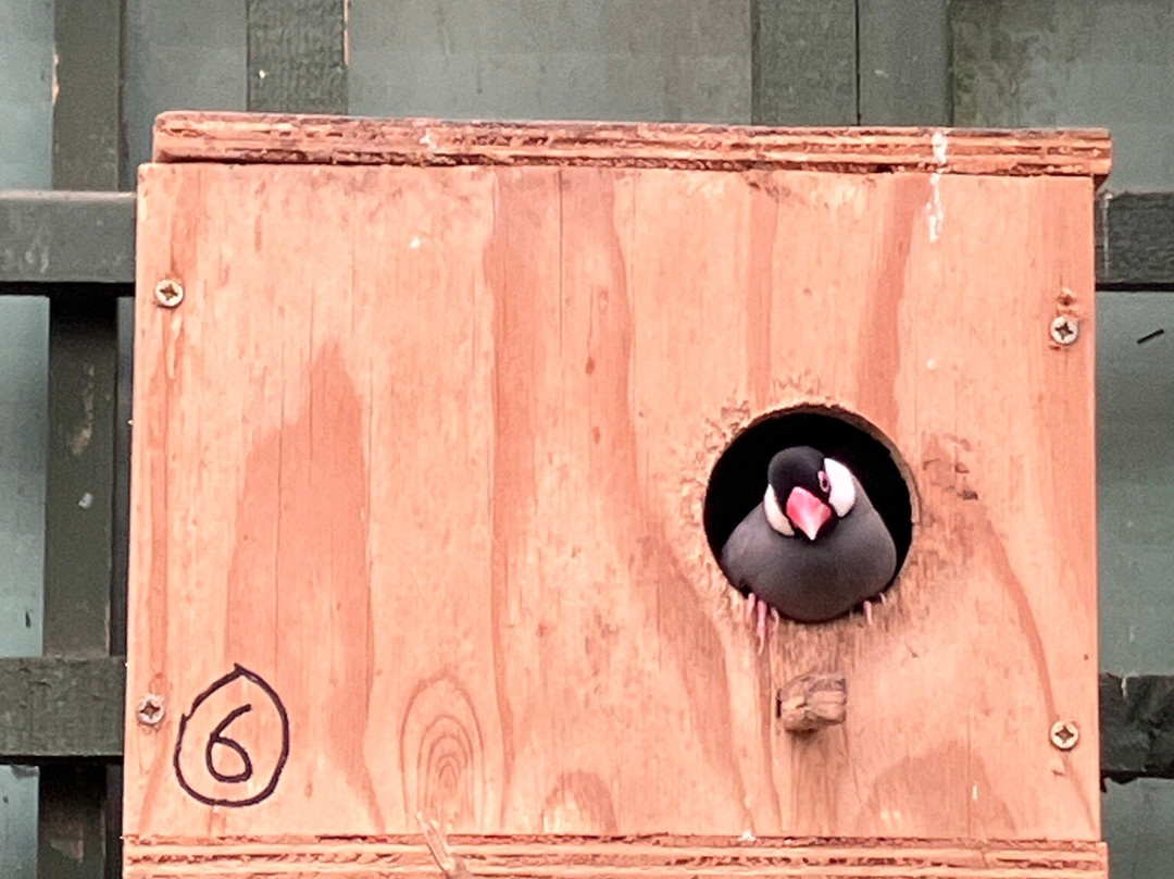 Call Of The Wild Zoo-South Woodham Ferrers必去景点