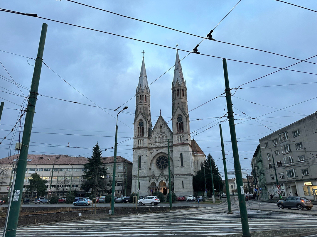 Timișoara Orthodox Cathedral-蒂米什瓦拉必去景点