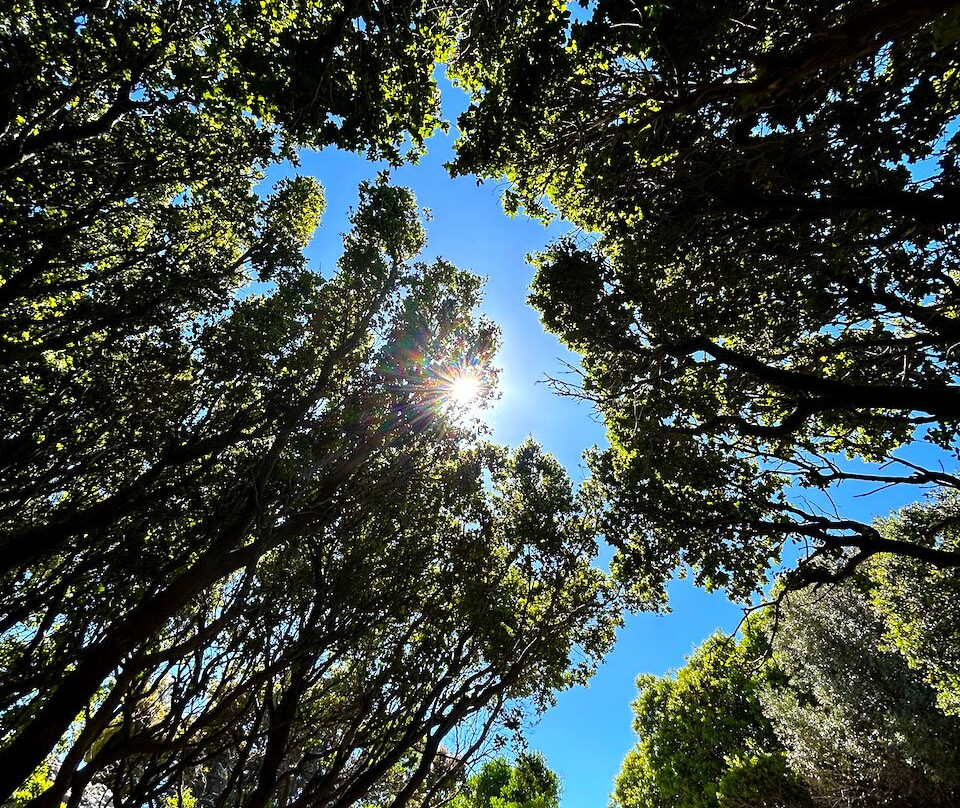 Rakidio-Sellia必去景点