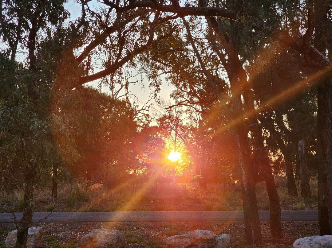 Lake Broadwater Conservation Park-多尔比必去景点