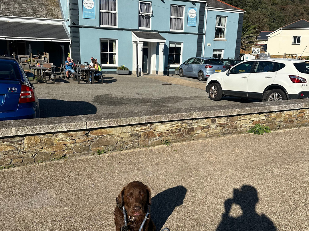 Portreath Arms主图