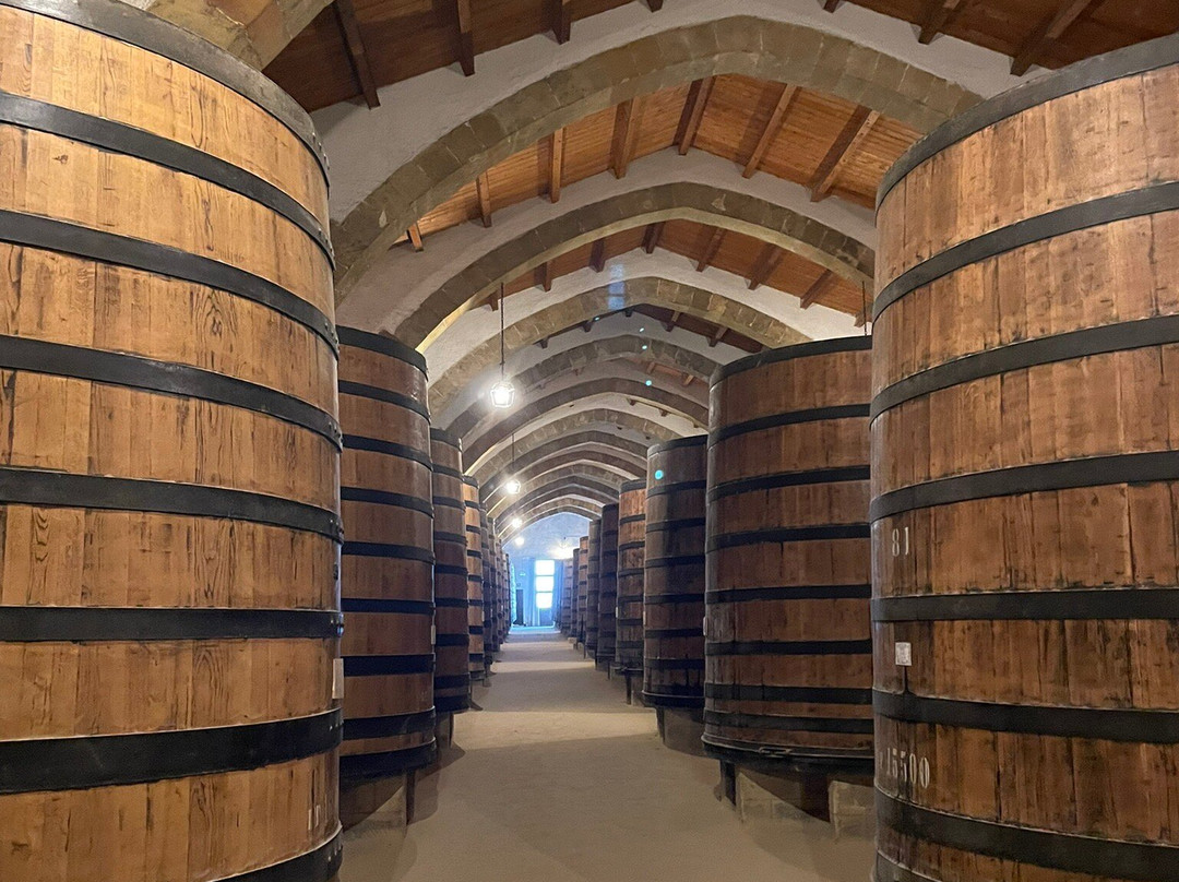 Cantine Florio-马尔萨拉必去景点