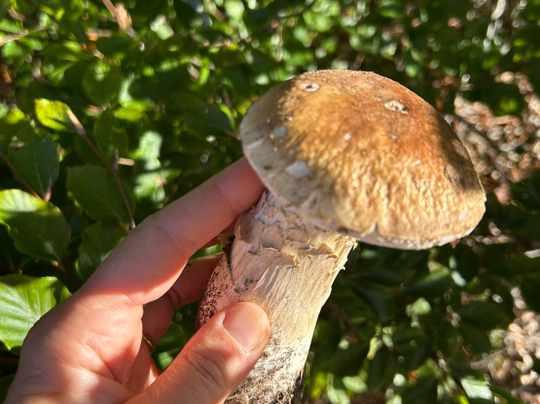 Quinte Et Sens主图