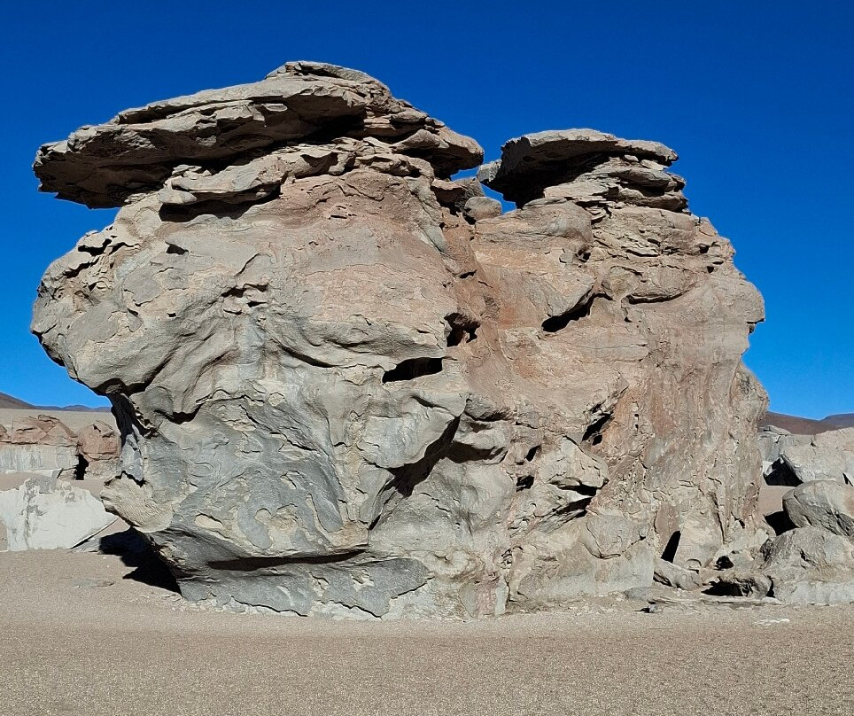 Expediciones Estrella Del Sur Bolivia-乌尤尼必去景点