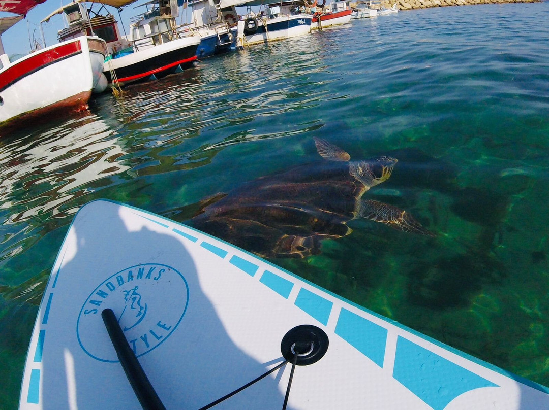 SUP Tours Paphos-Coral Bay必去景点