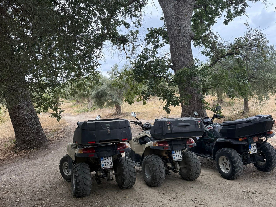 ActionQuad Pefkohori-Pefkohori必去景点