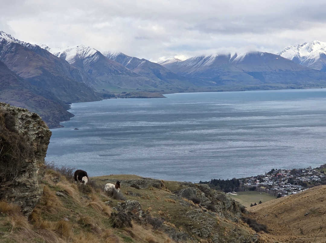 Deer Park Heights-皇后镇必去景点