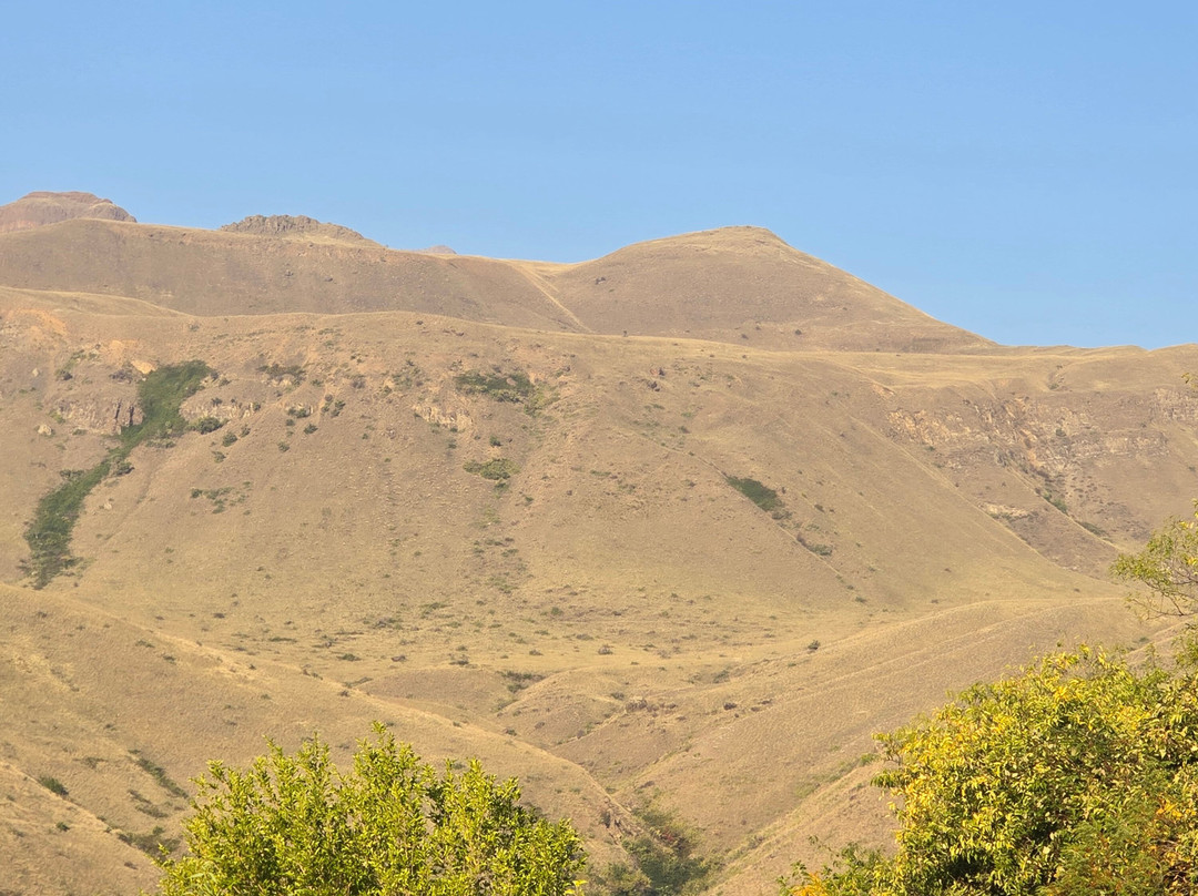Hammer Down River Excursions-White Bird必去景点