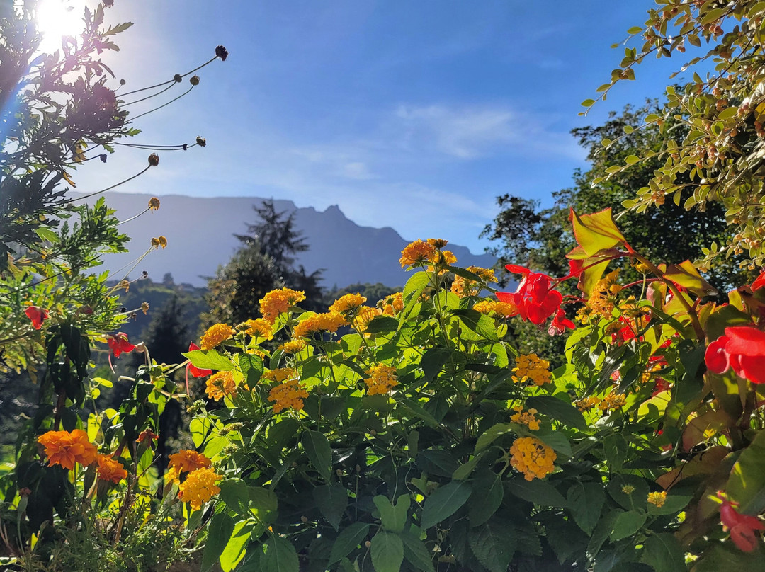 玛利奥兹别墅酒店主图