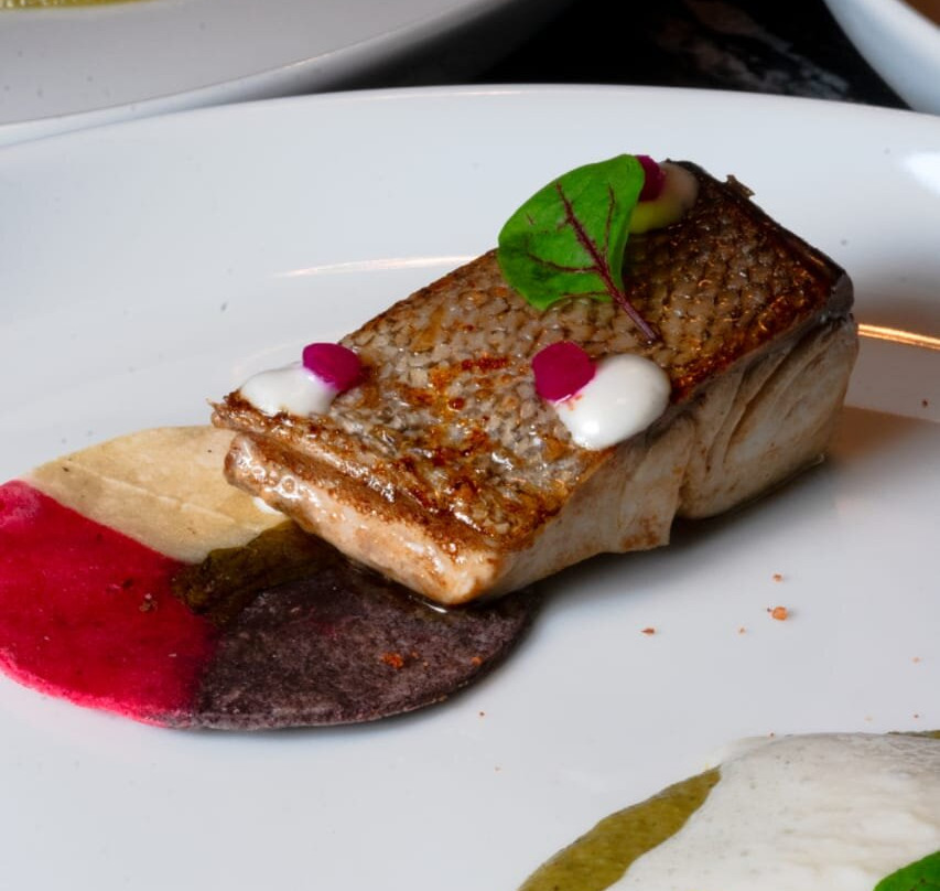 Occio Alta Tradición