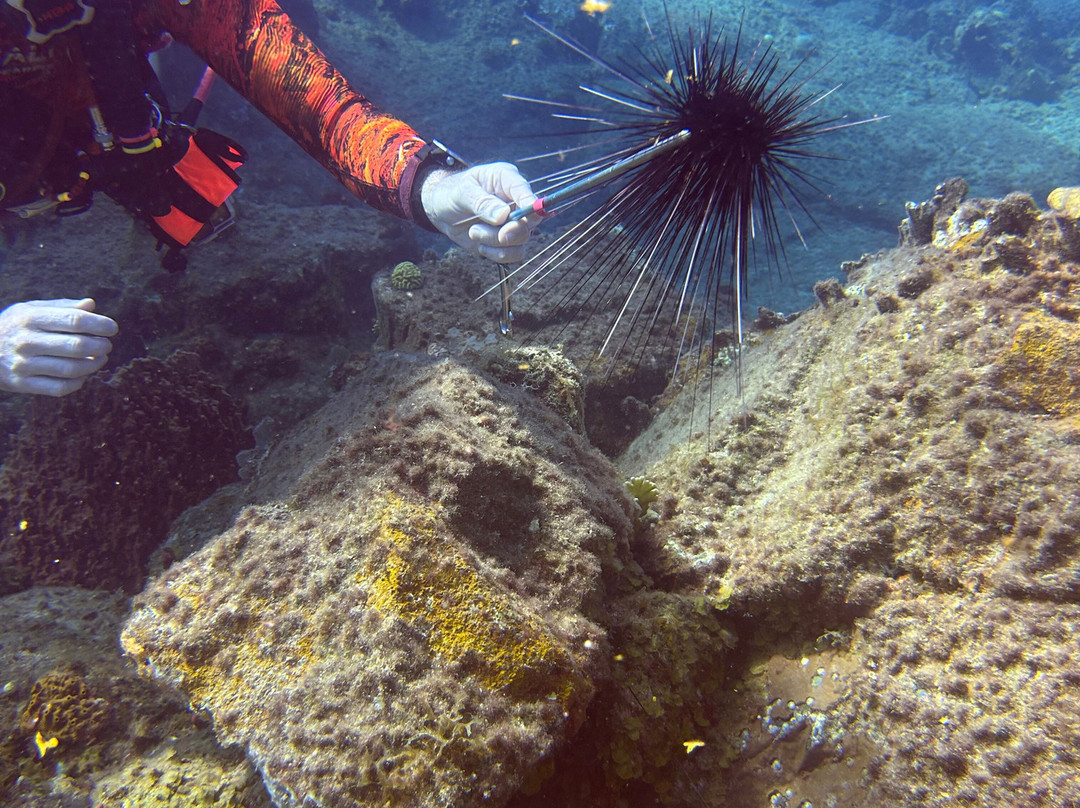 Aqua Marine Dive Center-圣 托马斯必去景点