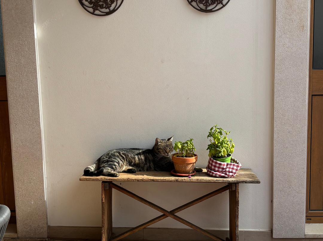 Masseria Cesarina B&B主图