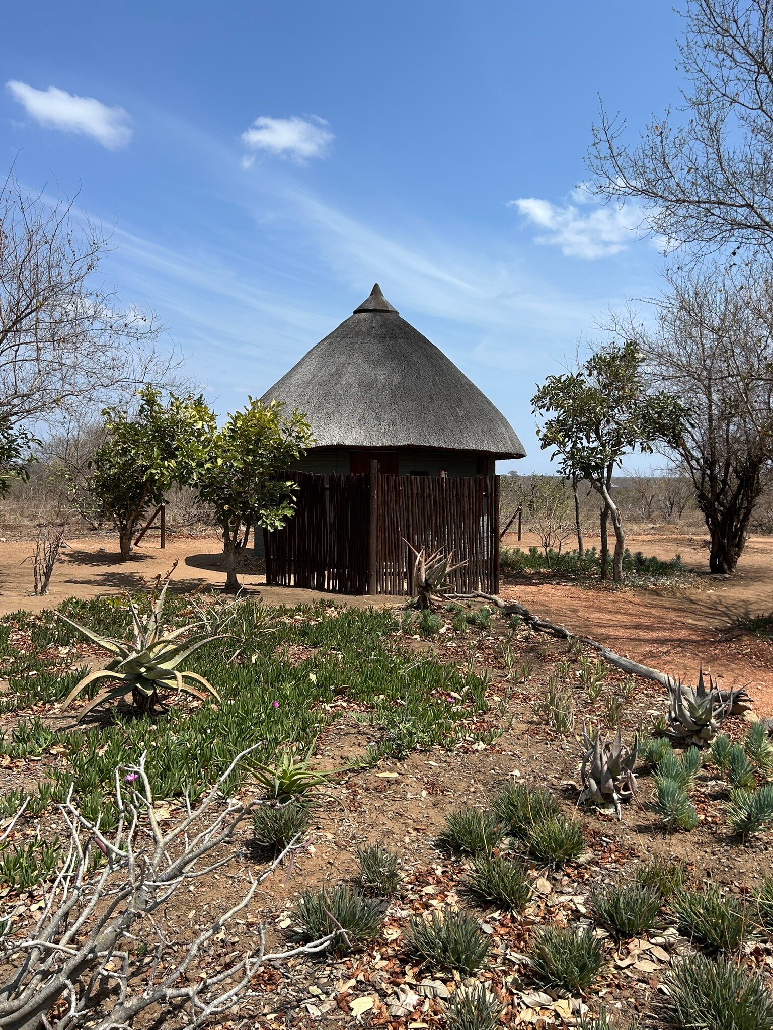 Africa On Foot Camp-官方