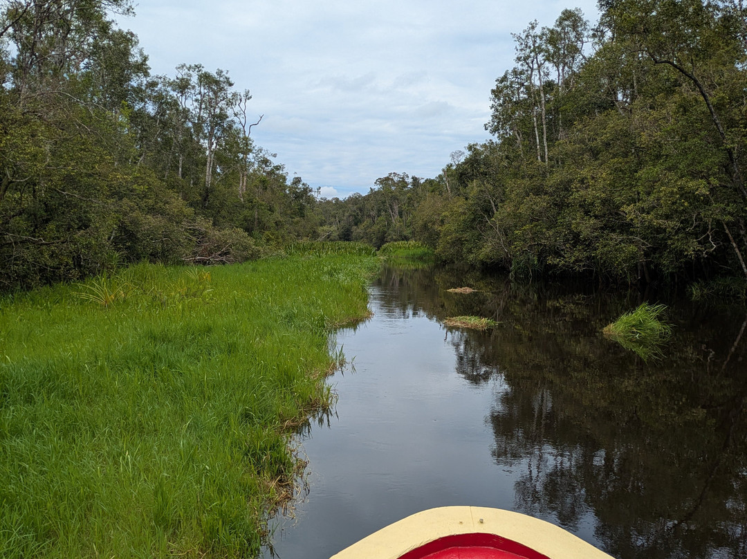 Guia En Borneo-Pangkalan Bun必去景点