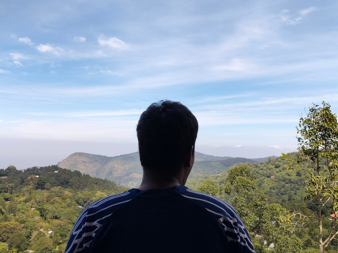 Mango Hill Yercaud主图