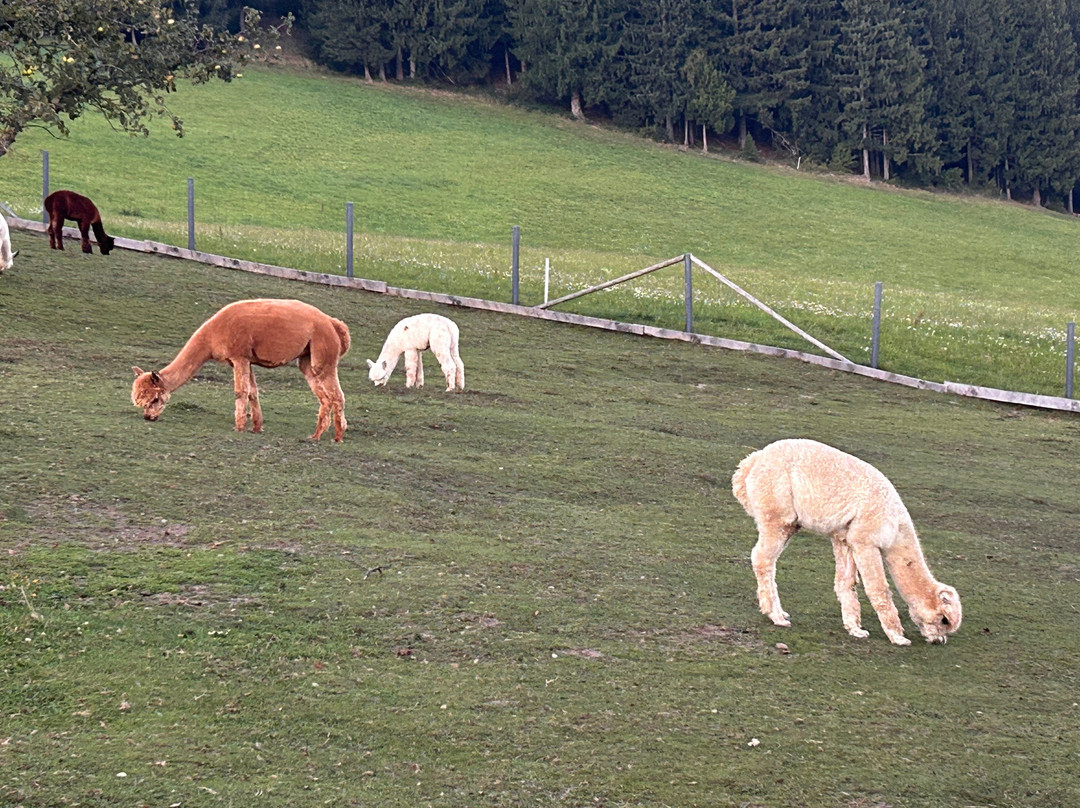Mitterhirschberg